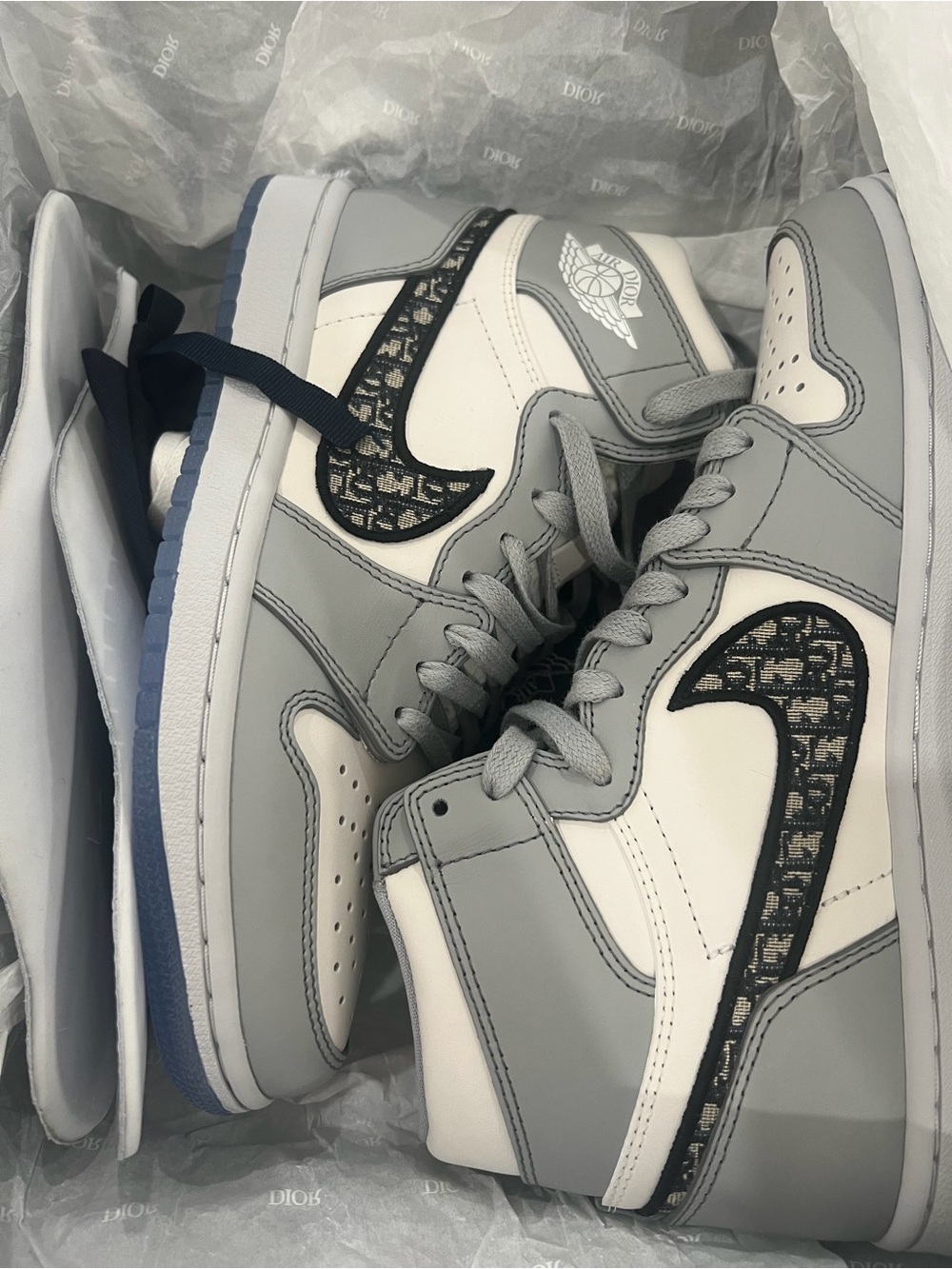 Dior x Air Jordan 1 high